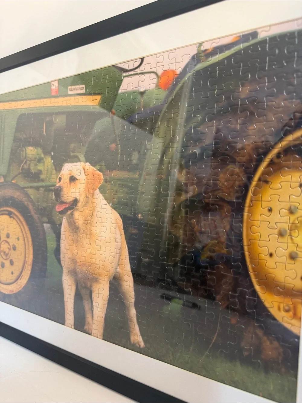 Framed Dog Wall Art Puzzle Print in Black Frame